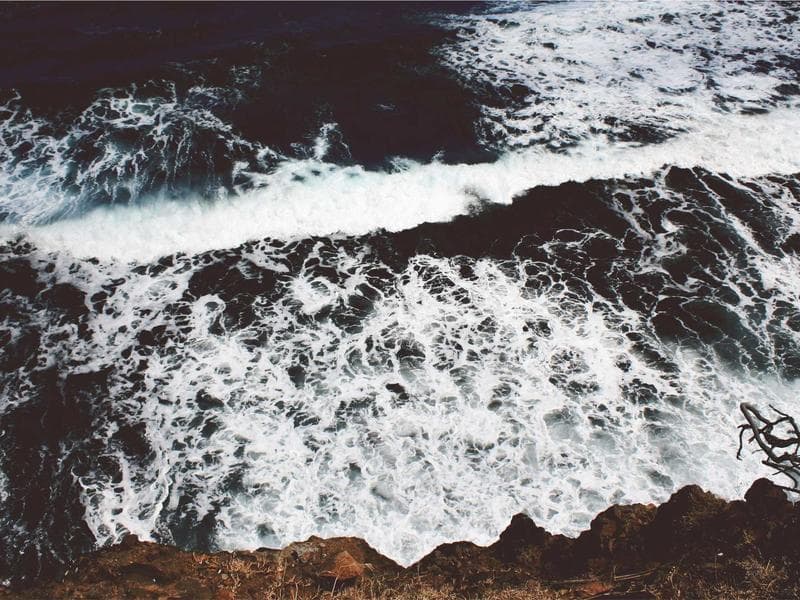 Sağlıklı Tabak Diyetisyen - Merkez fotoğraf 5