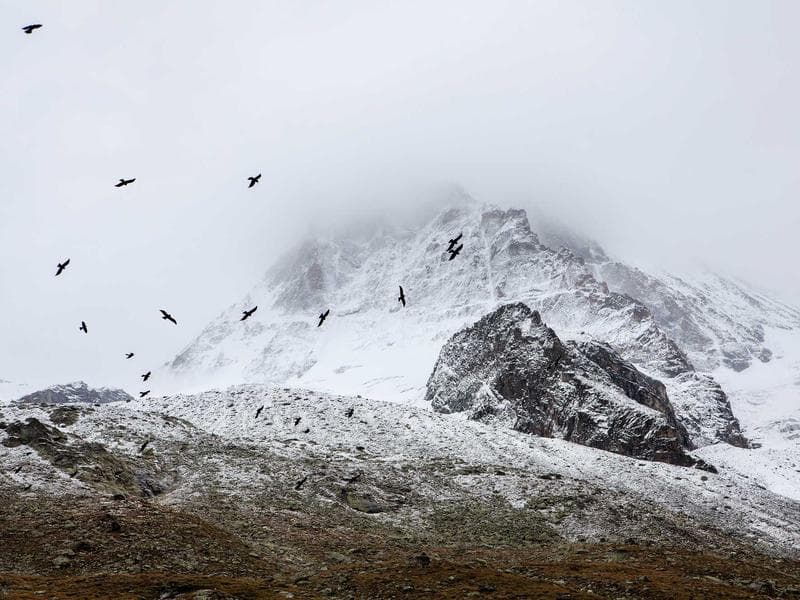 Stil Sokağı Kuaför - Merkez fotoğraf 2