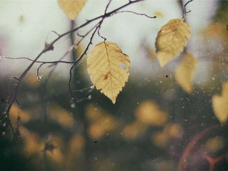 Stil Sokağı Kuaför - Merkez fotoğraf 4